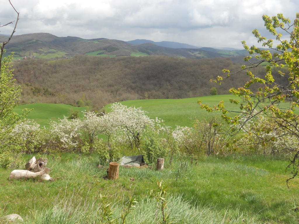 Gite Des Monts Saint-Izaire Exterior photo